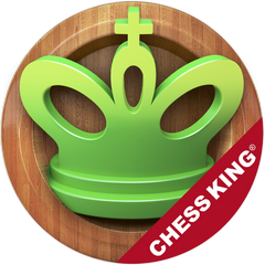на изображении шахматная фигура зелёного цвета "Король" с логотипом chess king