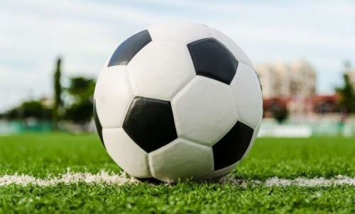  на изображении футбольный мяч на зеленой траве