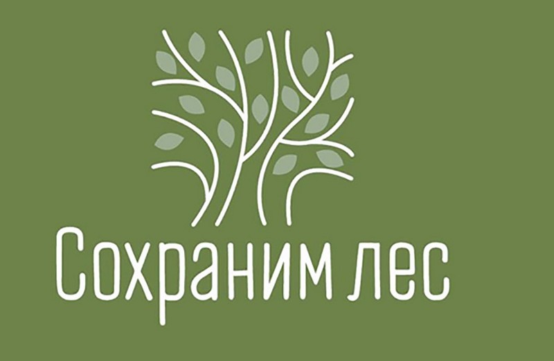 на зеленом фоне изображение дерева и подпись внизу: сохраним лес